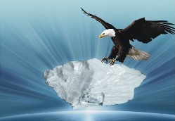 ��ҵ����ͼ3